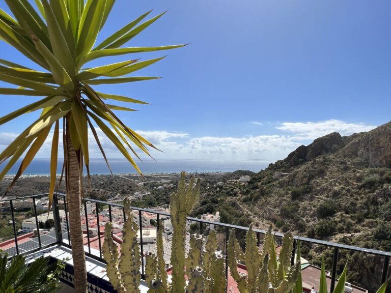 Terraza vistas