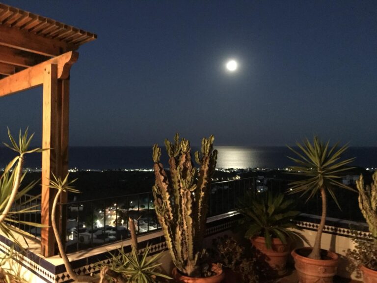 Vista nocturna